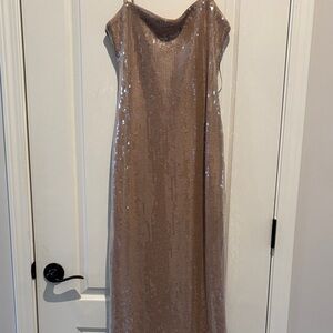 Abercrombie & Fitch Sequin Tan Dress